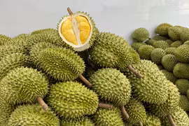 Vỏ của “vua trái cây” biến thành than sinh học, giấm gỗ giá cao