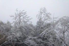 Miền Bắc, miền Trung rét đến bao giờ?