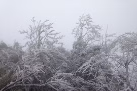 Miền Bắc, miền Trung rét đến bao giờ?