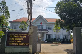 Trưởng phòng tư pháp huyện bị cách chức vì... trộm hoa giấy