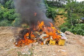 Tiêu hủy tấn mì sợi, gia vị thực phẩm cùng hàng nghìn hàng hóa nhập lậu