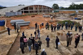 Tin mới nhất vụ xây dựng sai phép ở Đồi Cù của Công ty Hoàng Gia ĐL