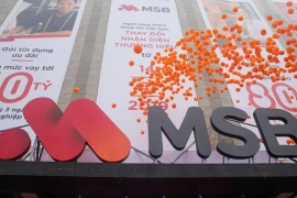 Vì sao DATC dừng đấu giá lô cổ phiếu MSB?