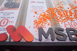 Vì sao DATC dừng đấu giá lô cổ phiếu MSB?