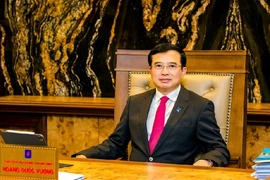 Vì sao ông Hoàng Quốc Vượng bị bắt giam?