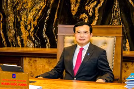 Vì sao ông Hoàng Quốc Vượng bị bắt giam?