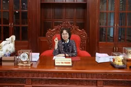 Vì sao Chủ tịch Tập đoàn Thiên Minh Đức bị tạm hoãn xuất cảnh?