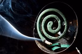 Cụ bà 80 tuổi chết vì con đốt nhang muỗi để mẹ ngủ ngon