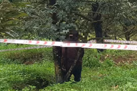 Phát hiện người đàn ông tử vong ở tư thế treo cổ trên cây 