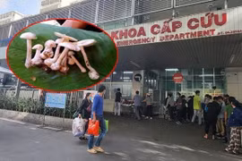 Vụ cả nhà nhập viện sau bữa ăn: Cha mất, mẹ đang nguy kịch