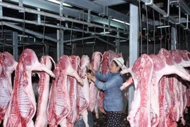 Giá heo hơi hôm nay 28/12: Tăng mạnh, chạm mốc 80.000 đồng/kg