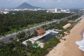 Vì sao đại gia Phú Yên Võ Thị Thanh bị đề nghị tạm hoãn xuất cảnh?