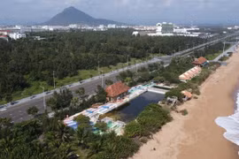 Vì sao đại gia Phú Yên Võ Thị Thanh bị đề nghị tạm hoãn xuất cảnh?