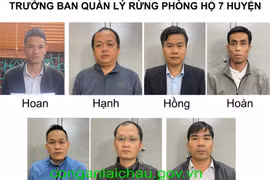 Bắt 15 thành viên trong đoàn thanh tra có hành vi nhận hối lộ