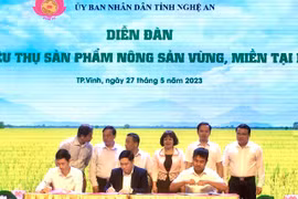 WinMart thúc đẩy phát triển chuỗi giá trị nông sản chất lượng cao tỉnh Nghệ An