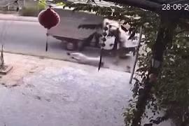 Trích xuất camera Trưởng Công an phường bị xe tông tử vong trong lúc đi tập thể dục