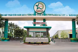 Tập đoàn Quốc tế Năm Sao nợ Bảo hiểm Xã hội của 137 người lao động 