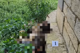 Phát hiện thi thể không nguyên vẹn, đã khô dưới chân cầu Long Biên