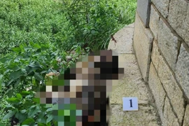 Phát hiện thi thể không nguyên vẹn, đã khô dưới chân cầu Long Biên