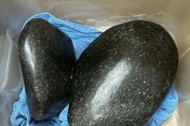 Vợ chồng đại gia Hà Nội vào Đồng Nai mua cục đá vô tri giá 2,1 tỷ 