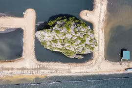 Doanh nghiệp mới thành lập 42 ngày trúng đấu giá khu đất ngàn tỉ nói gì?