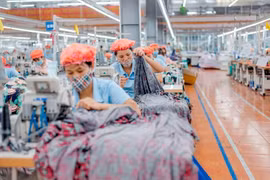 May Sông Hồng giải trình thế nào về lợi nhuận năm 2023?