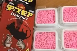 Bé trai 2 tuổi nguy kịch vì ăn nhầm thuốc diệt chuột do tưởng là kẹo