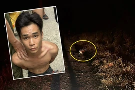 Điều tài xế xe ôm từ TP HCM xuống Long An rồi sát hại cướp tài sản