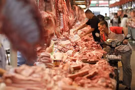 Giá heo hơi hôm nay 26/12: Tăng vọt tới 5.000 đồng/kg