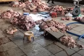 Đồng Nai: Phát hiện hơn 1 tấn thịt bẩn chuẩn bị được đưa đi tiêu thụ 