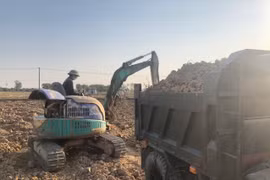 Hải Dương: Người dân thuê máy xúc khai thác đất ruộng trái phép về bán