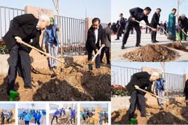 Hải Dương: Bí thư Tỉnh ủy phát động Tết trồng cây xuân Quý Mão 2023