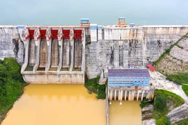 EVN, PVN, TKV vi phạm trong thực hiện quy hoạch điện VII điều chỉnh?