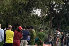 Hải Dương: Phát hiện thi thể cô gái trẻ đang phân hủy trong bụi tre
