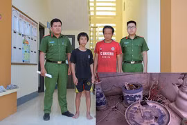 Bất ngờ nguyên nhân bát hương hơn 1000 phần mộ bị bới tung