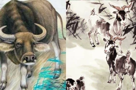  3 con giáp tháng 7 âm lịch cầu may tránh ác, quý nhân phù trợ 