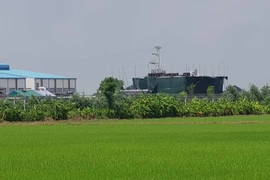 Hải Dương: Ra “tối hậu thư” yêu cầu tháo dỡ biệt thự trên đất nông nghiệp 