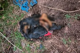 Công an tỉnh Bình Dương phát thông báo vụ đôi chân người bị đốt cháy