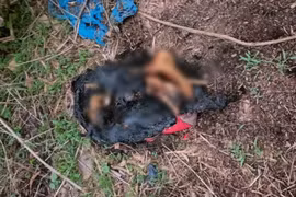 Công an tỉnh Bình Dương phát thông báo vụ đôi chân người bị đốt cháy