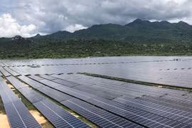 Điều tra việc sử dụng đất đầu tư 4 dự án điện mặt trời ở Ninh Thuận