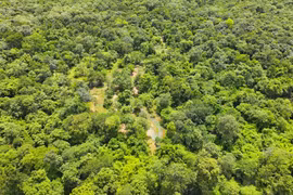 Làm hồ chứa nước trên 600 ha rừng, người Bình Thuận hưởng lợi gì?