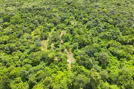 Làm hồ chứa nước trên 600 ha rừng, người Bình Thuận hưởng lợi gì?