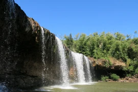 Đến Vườn quốc gia Bù Gia Mập để trải nghiệm sống xanh 