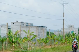  Nuôi chim yến mang lại thu nhập tiền tỉ ở Lâm Đồng