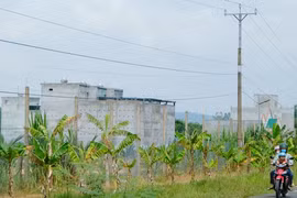  Nuôi chim yến mang lại thu nhập tiền tỉ ở Lâm Đồng