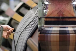 Loại len được ví là "vàng của Andes" đến nhà giàu cũng khó mua 