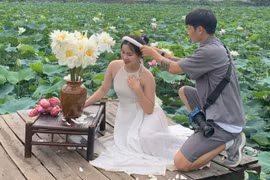 Thợ ảnh hốt “bạc triệu” mỗi ngày nhờ mùa sen nở rộ