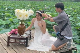 Thợ ảnh hốt “bạc triệu” mỗi ngày nhờ mùa sen nở rộ