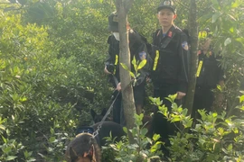 Cảnh sát lội bùn, huy động chó nghiệp vụ truy tìm 2 phạm nhân trốn trại 