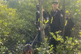 Cảnh sát lội bùn, huy động chó nghiệp vụ truy tìm 2 phạm nhân trốn trại 